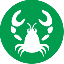 Lobster